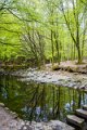 Tollymore Forest Park Newcastle Co Down (10)